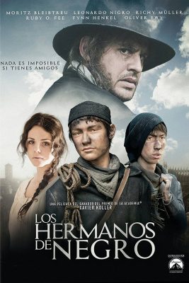 Filmpferde beim Film
