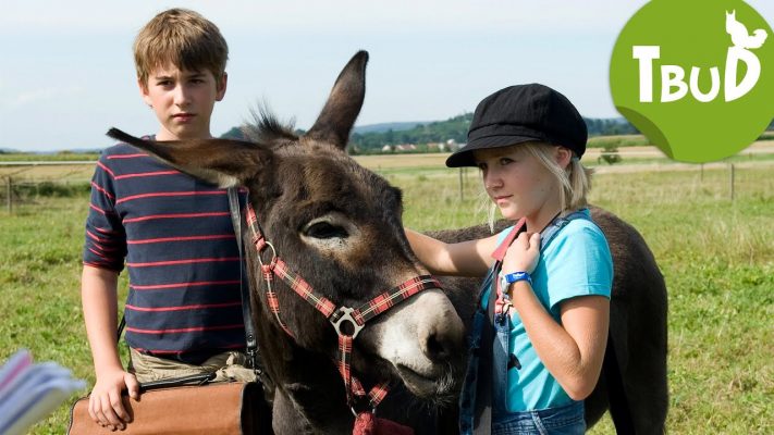 Filmtiere beim Film
