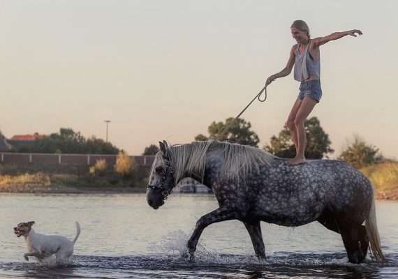 Stunt mit Pferd